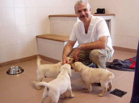 varios perros con veterinario